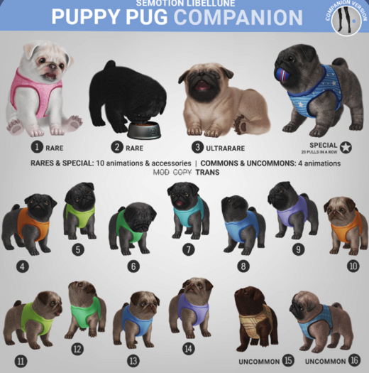 SEmotion Libellune Puppy Pug Companion COMMON 05