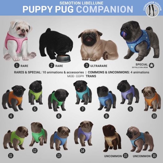 SEmotion Libellune Puppy Pug Companion UNCOMMON 16