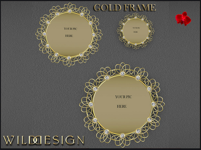[Wild-Design]-golden Luxury Frame Set