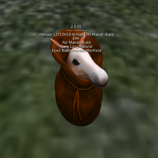 Level 3; Traits 15; Female European Prehistoric Horse - Makat~Bald