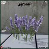 Full Perm Lavender