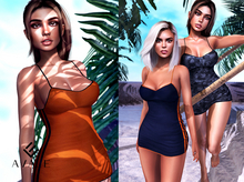 AVALE Amber - FATPACK 