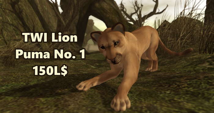 WuffStuff TWI Lion Puma No. 1