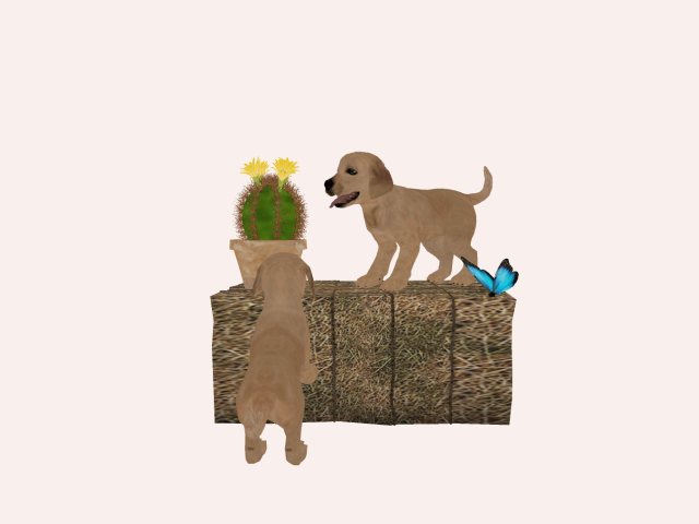 Two Cute dogs :)