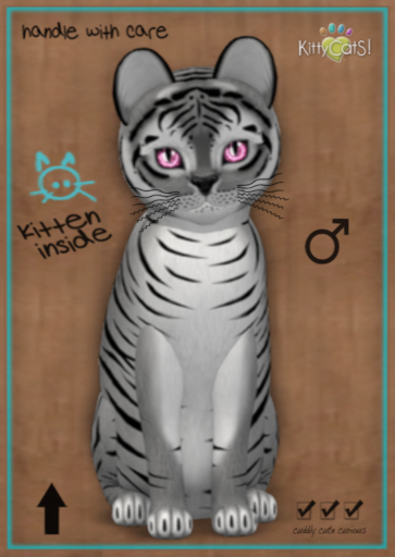 9T Tiger! Shadow - Crystal Berry