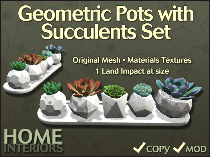 Home Interiors: Geometric Succulents Set (BOXED)