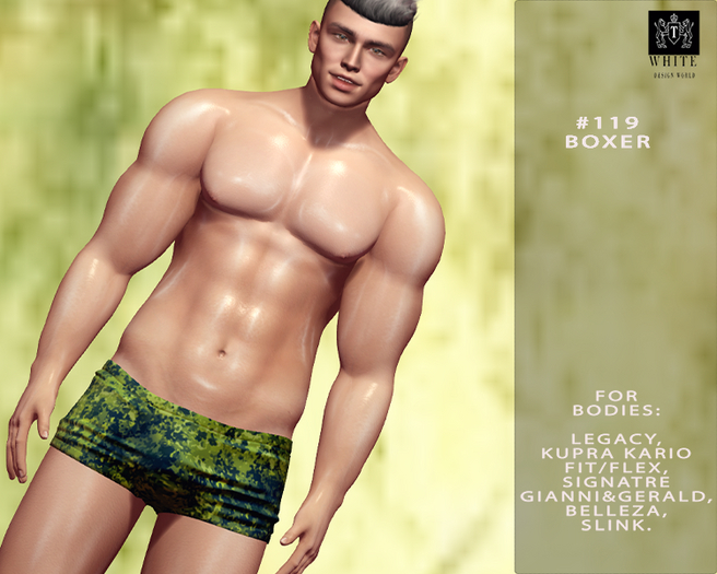 #119 BOXER  KARIO/LEGACY/SIGNATRE/BELLEZA/SLINK