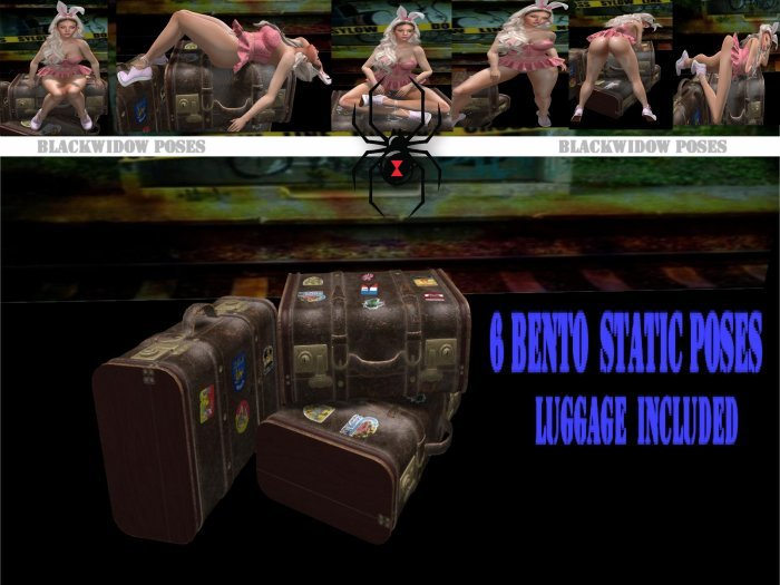 *BW_Luggage  w/poses