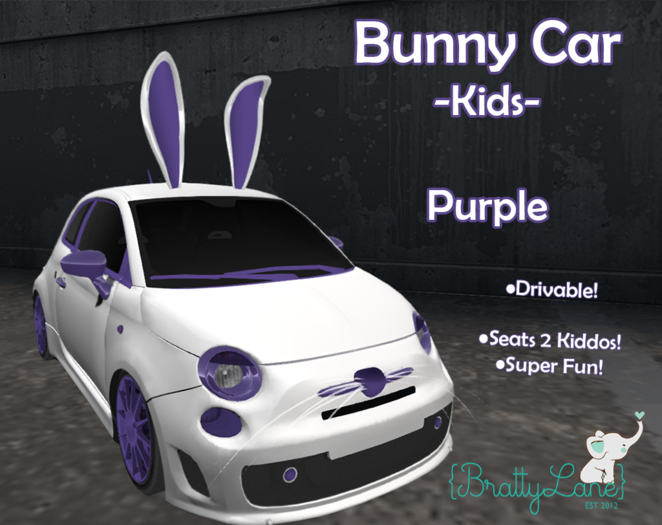 {BL}Bunny Car-Purple