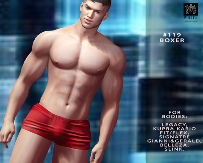 BOXERKARIO/LEGACY/SIGNATRE/BELLEZA/SLINK