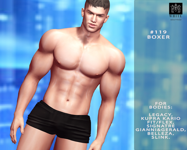 #119 BOXER  black 