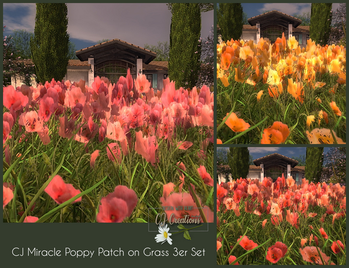 CJ Miracle Poppy Patch on Grass 3er Set