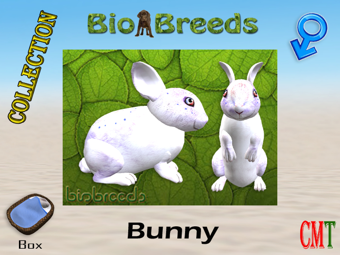 BioBreeds BB 4th of July 2021 Epic Bunny Box Male