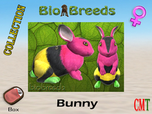 BioBreeds BB Easter 2021 Epic Bunny Box Female