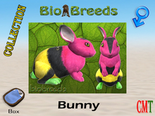 BioBreeds BB Easter 2021 Epic Bunny Box Male