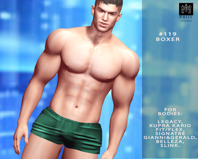 ::TW::#119 BOXER green KARIO/LEGACY/SIGNATRE/BELLEZA/SLINK