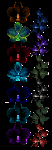 NSP Sophia Flower Hud - V3  pkg Hud