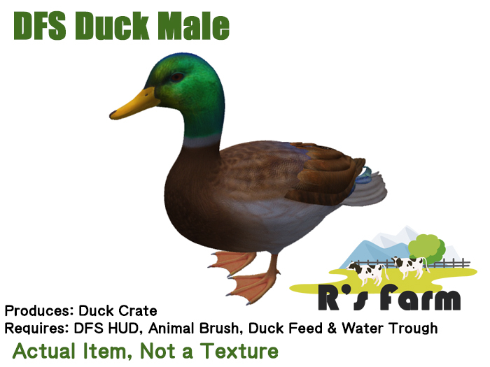 DFS Duck - Male (Actual Item Not a Texture)