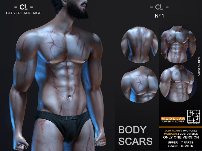 Body Scars (BOM) - No 1