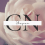 CN Shapes