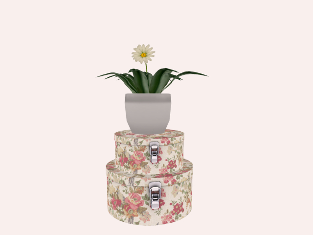 Boxes With Plant  :)