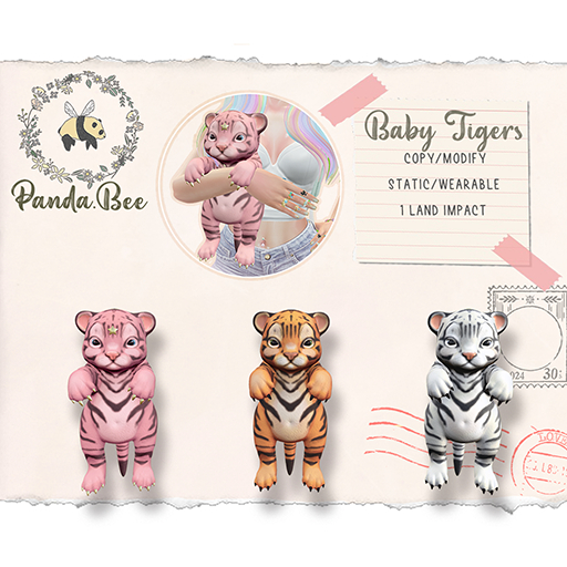 PandaBee - Baby Tigers - White Tiger