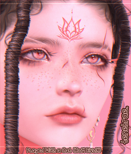 tenebrae. Played With a Cat {EvoX} 