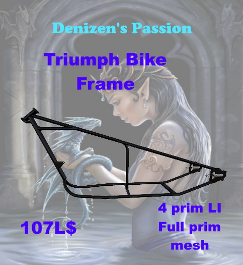 Triumph Bike Frame