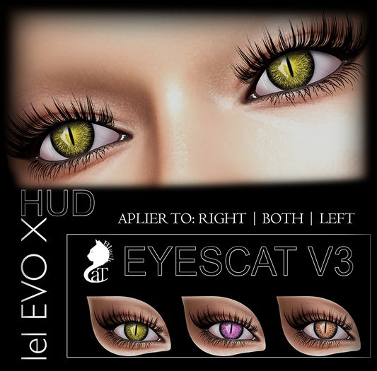 ::: BlackCat ::: EYES CAT ::: V3