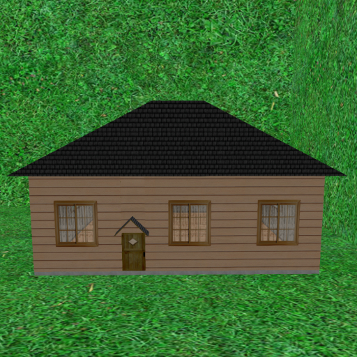 Simple House  20 x 18