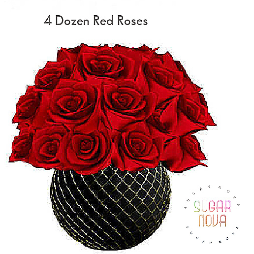 SN - 4 Dozen Red Roses in Black and Gold Vase