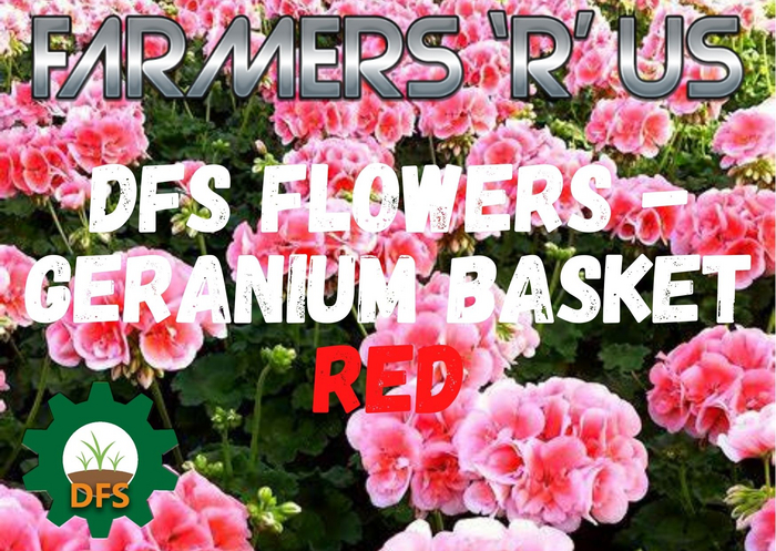 DFS Flowers - Geranium Basket - RED