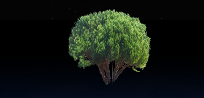 1 prim Coastal pine