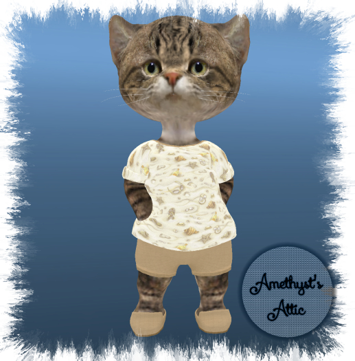 AA-Summer Shorts Set(Guys) Dinkies