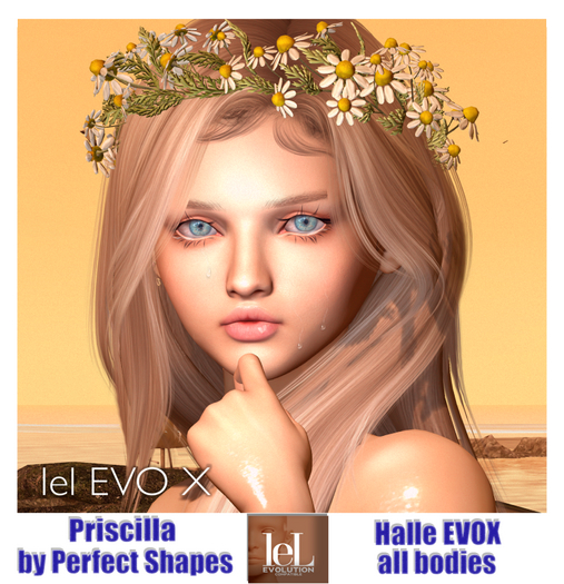 *PS* - Priscilla Shape - Lelutka EVO X Halle & all bodies Fatpack