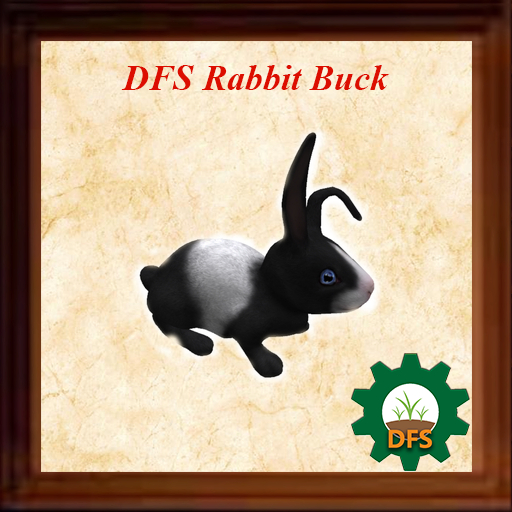 DFS Rabbit - Buck ( 0 days )