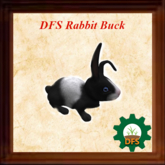 DFS Rabbit - Buck ( 0 days )