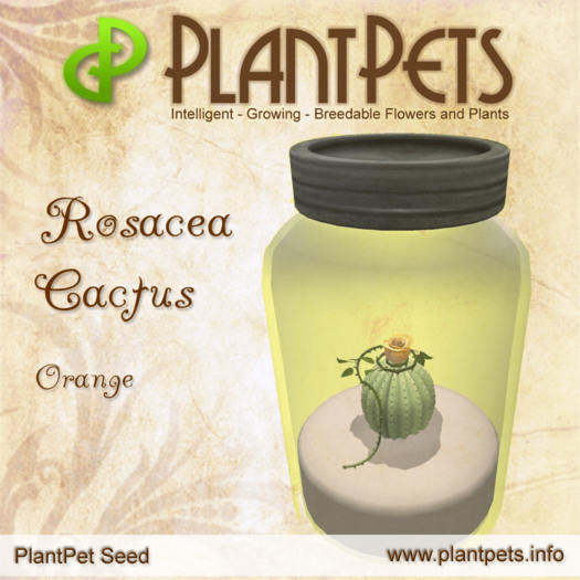 PlantPet Seed [Rosacea Cactus *Orange*]