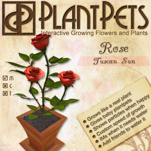 PlantPet Seed [Rose *Tuscan Sun*]