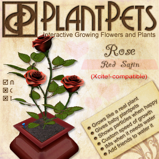 PlantPet Seed [Rose *Red Satin*]