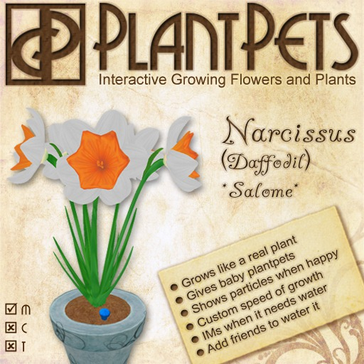 PlantPet Seed [Narcissus *Salome*]
