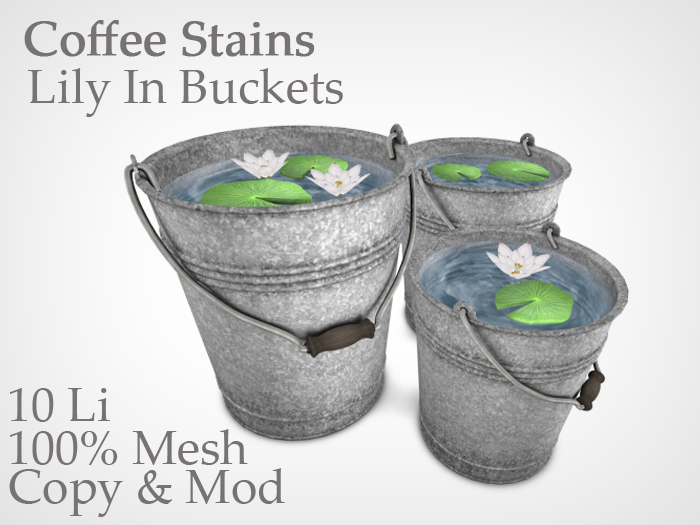 Coffee StainS - Lily In A Bucket