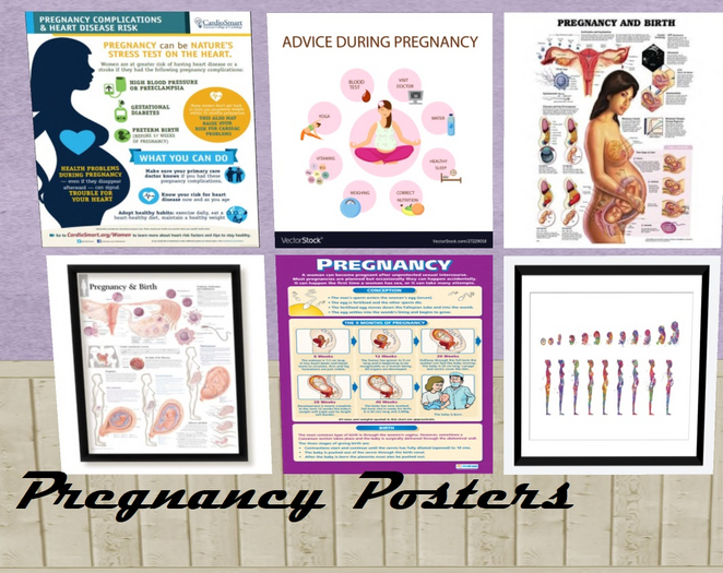 *LM* Pregnancy Posters