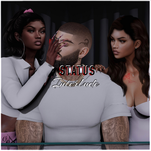 STATUS ~ Interlude