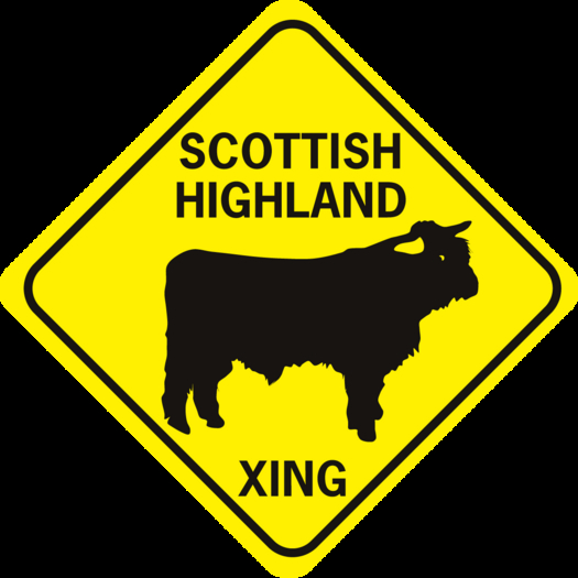 Scottish Highlander Crossing