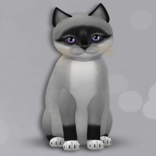 KittyCatS Box - New Born Kitten BOY - NORMAL SIZE