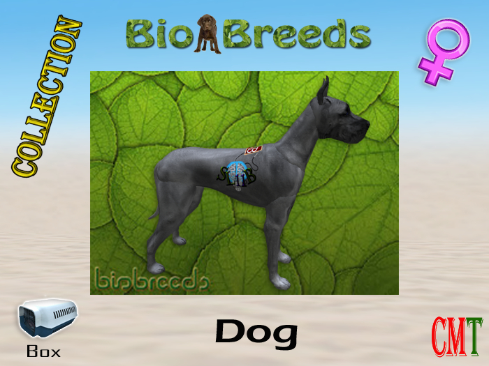 BioBreeds BB SL11B Epic GD Box Female