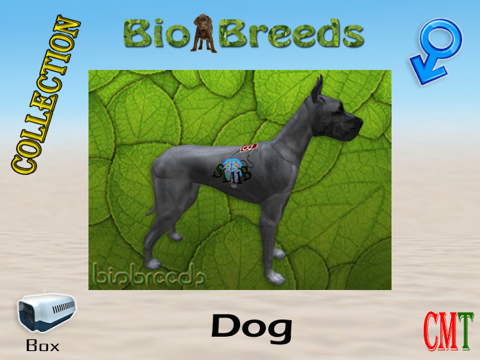 BioBreeds BB SL11B Epic GD Box Male