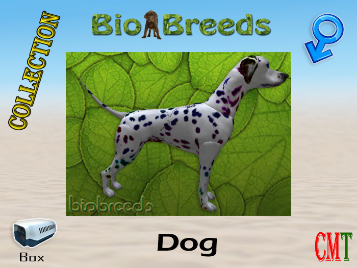 BioBreeds BB SL12B Epic Dalmatian Box Male