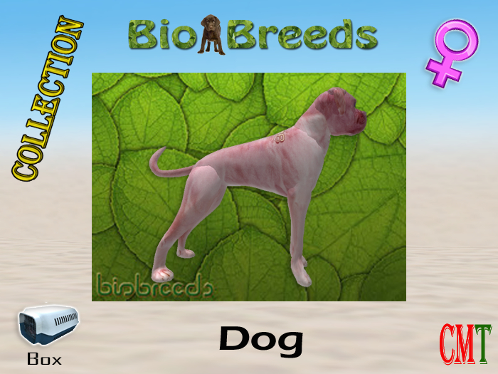 BioBreeds BB SL13B Epic Boxer Box Female